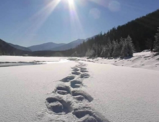 traces de raquettes a neige